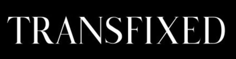 transfixed logo  -paysites
