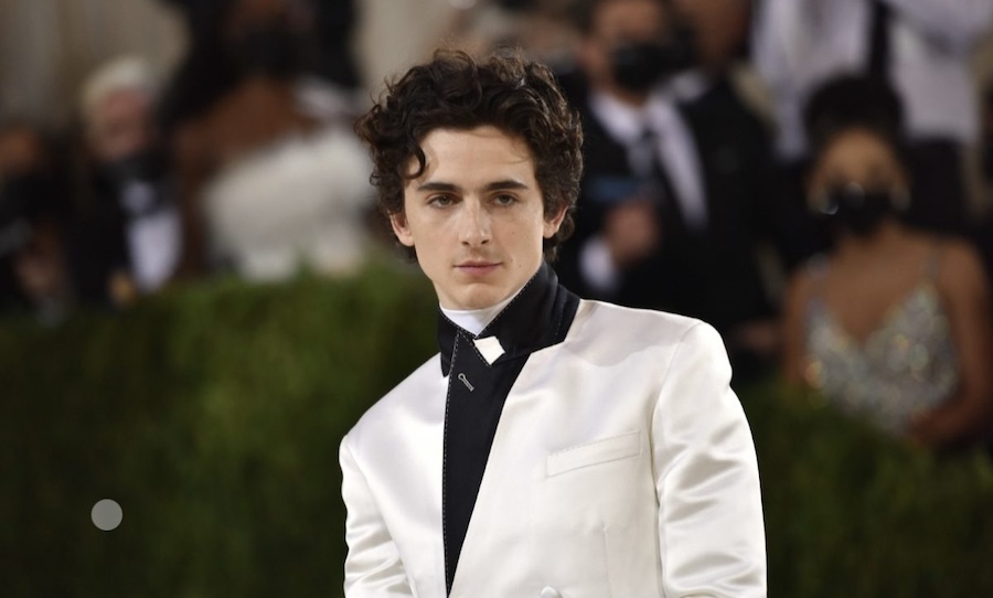 timothee chalamet esdeekid
