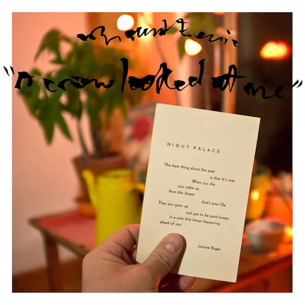 A crow looked at me Mount Eerie