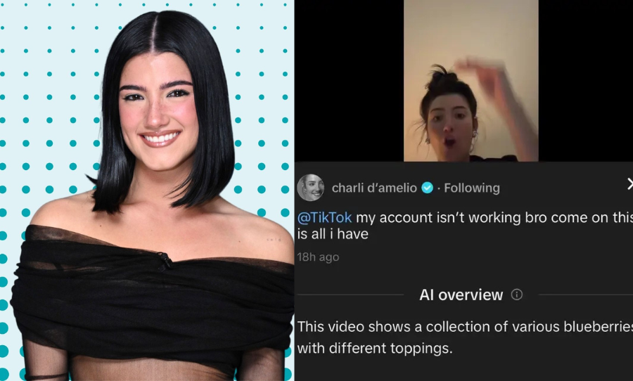 charlie damelio screenshot