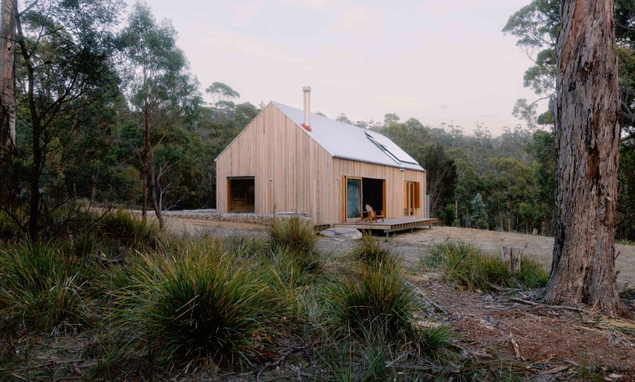 best tassie stays hidden