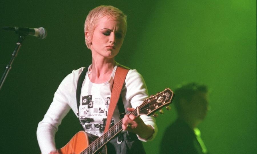 the cranberries